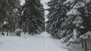 Лыжный РЕЛАКС. 22.02.2026