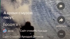 «Бродяга» какие мы? Авторская песня