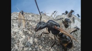 Об итогах BigPicture Photography 2025