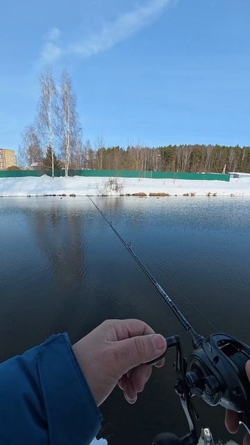 Тестирую катушку для Бигбейтов - 2025 ABU GARCIA BEAST 300 . Первый выход, тест минимального груза.