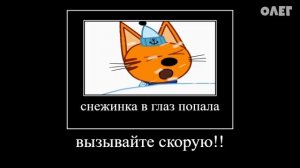 826 СЕКУНД РЖАКИ ТРИ КОТА 😂 ПОПРОБУЙ НЕ ЗАСМЕЯТЬСЯ