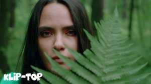 Klip-Top - Лунная Колыбель 2025