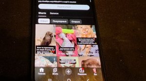 МИФИЧЕСКИЕ ПРИЮТЫ ДЛЯ ЖИВОТНЫХ...