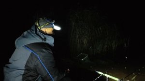 Диалоги о рыбалке. За лещами на остров! Рыбалка с подписчиком #рыбалка #fishing #feeder