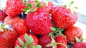 2256.  Размножение земляники. ВПЛ.