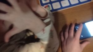 НИКА ОБОБЩЕНИЕ НАЗЫВАТЬ ЭМОЦИИ |25.02.2026|