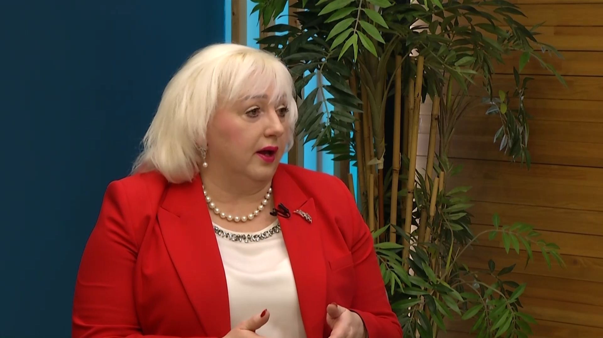 Интервью. Светлана Ивановна Запанкова