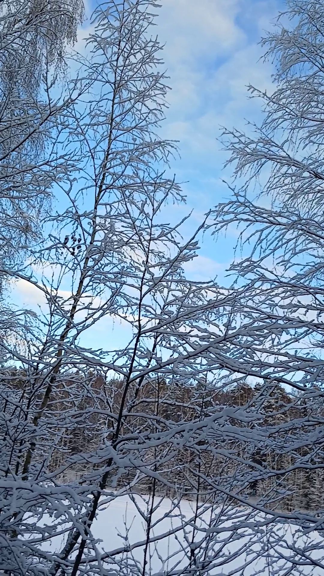 Зимняя сказка смотреть онлайн