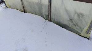 VLOG Куда пропал Семён?😳 Тестирую новый крем🧴