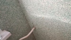 Сокровища наших посудных шкафов