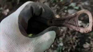 ПОКОРМИЛ КОМАРОВ НА НЕМЕЦКОМ ХУТОРЕ