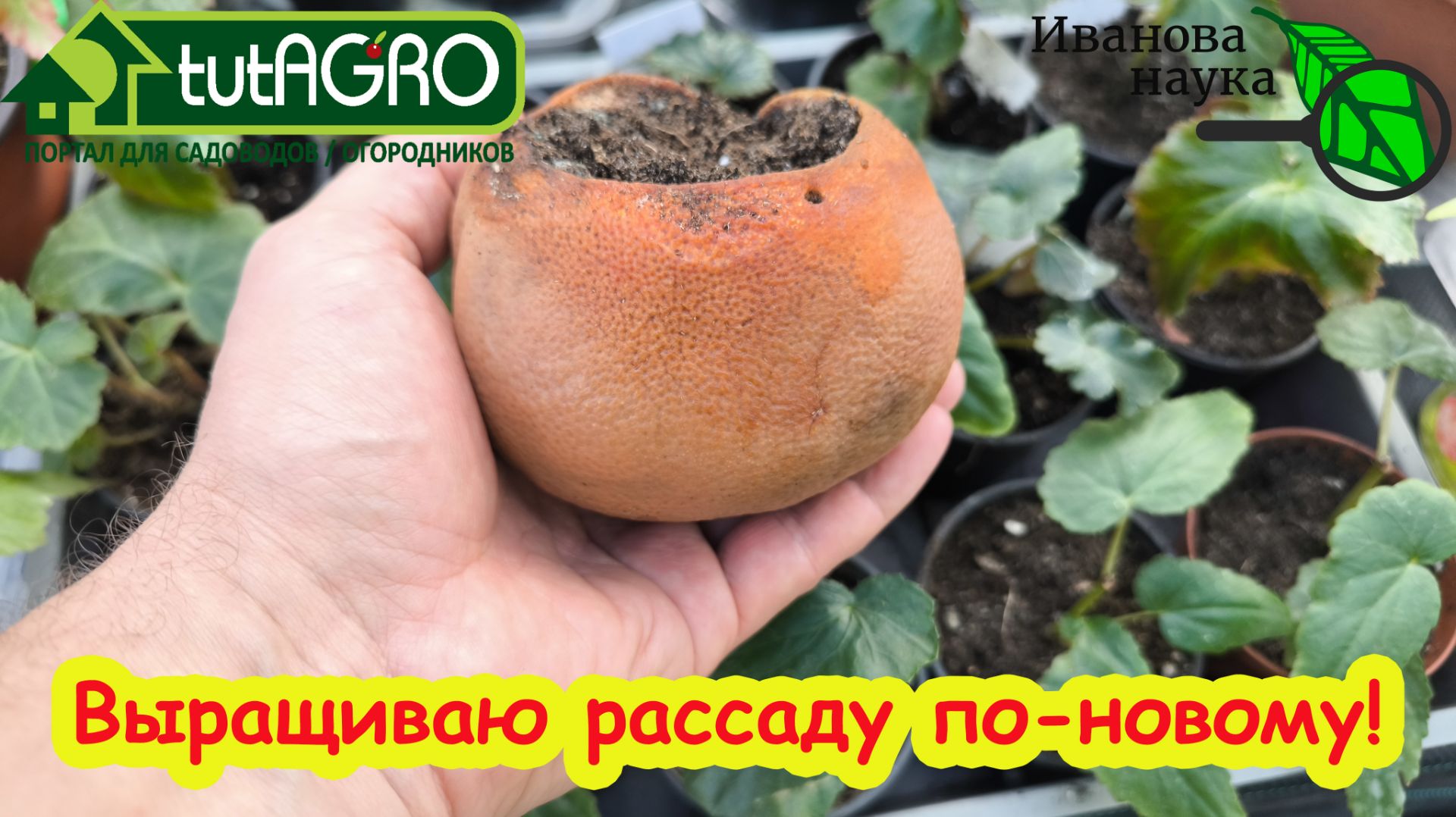 Проверил интернетный способ посева на рассаду: ШОК-РЕЗУЛЬТАТ! Лайфхак или лажа? Проверяю метод. смотреть онлайн