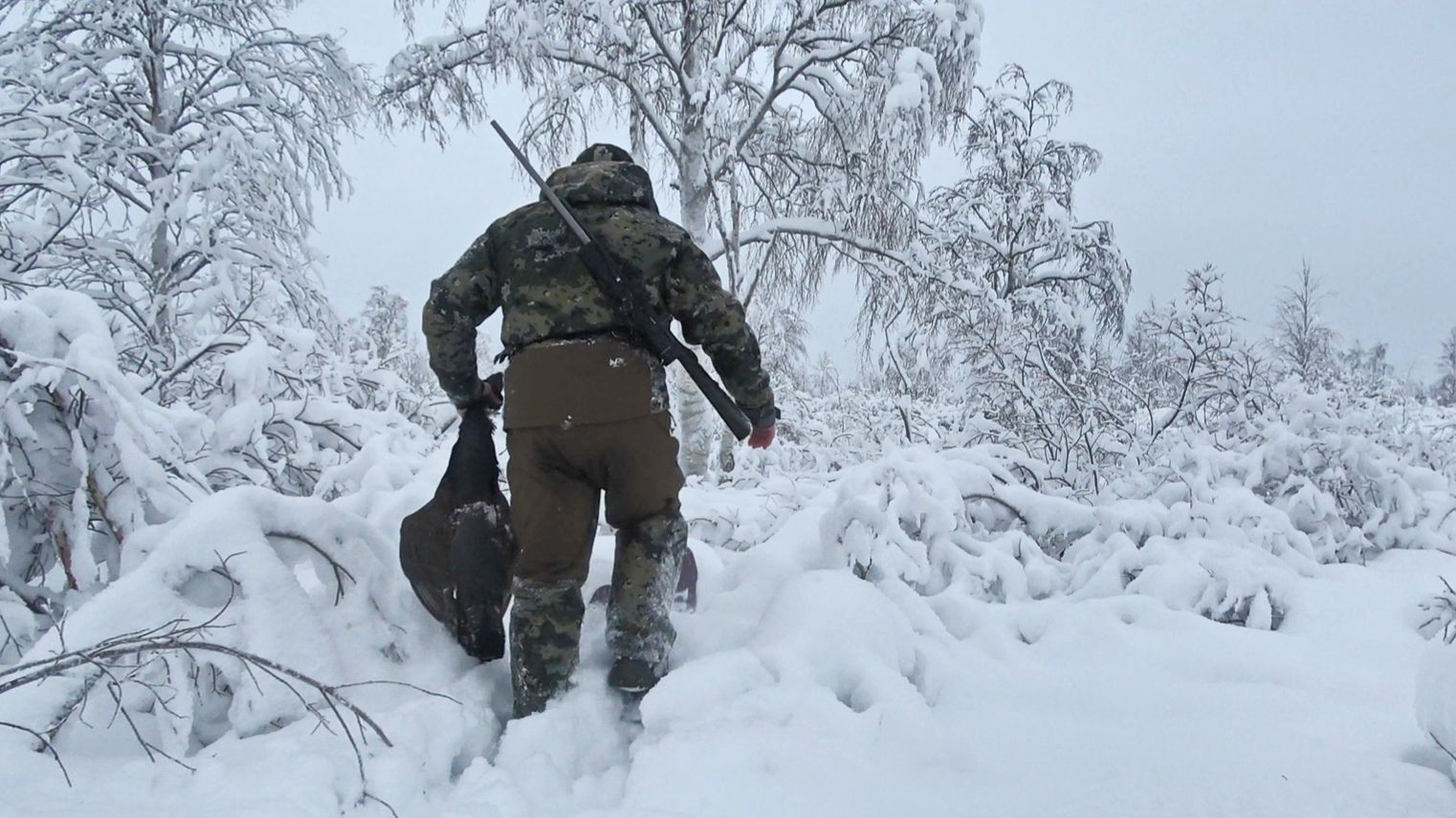 ОХОТА НА ГЛУХАРЯ ЗИМОЙ С МЕЛКАШКОЙ С ПОДХОДА. НАШЕЛ СТАЮ ГЛУХАРЯ В СТРАННОМ МЕСТЕ ДЛЯ МНОГИХ. 22lr. смотреть онлайн