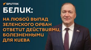 Белик: на выпады Зеленского Орбан ответит действиями, болезненными для Киева