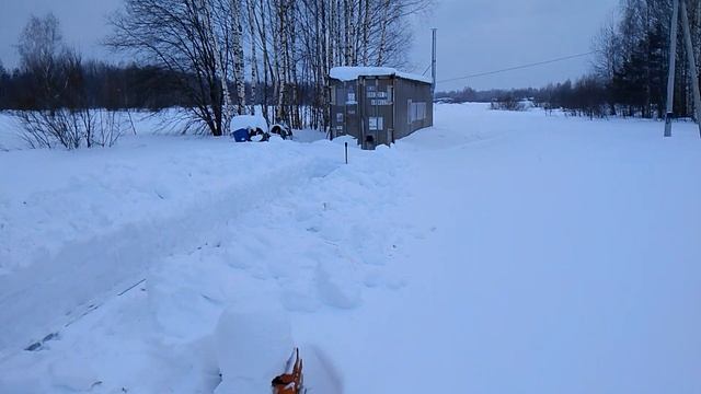 Я думал ,будет сложнее .Готовимся к выставке пчёл. смотреть онлайн
