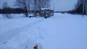 Я думал ,будет сложнее .Готовимся к выставке пчёл.