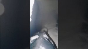 Катаемся на горке (часть 1)