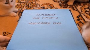 🎅😱 ЁЛКА НЕ СПАСЛА… ПОЧЕМУ ПУШИСТИК ГРУСТИТ В ДЕКАБРЕ?!