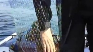 Ловля трески 3