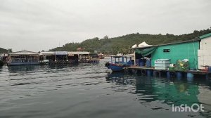 Рыбацкая деревня на воде. Обед у вьетнамцев.