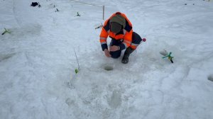 Поимки форели !!!