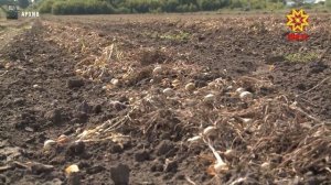 С 1 марта в Чувашии меняется порядок перевода сельхозземель в другие категории