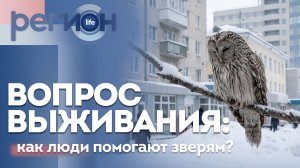Регион LIFE  | Вопрос выживания: как люди помогают зверям? | ОТС LIVE — прямая трансляция