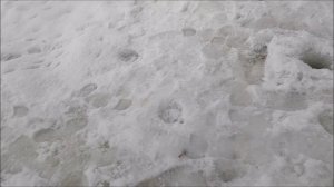 Рыбалка на Дону, мкр. Малышево,  Понтонный мост, город Воронеж 25.02.2026 года