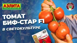 Томат БИФ-СТАР F1 в СВЕТОКУЛЬТУРЕ!
