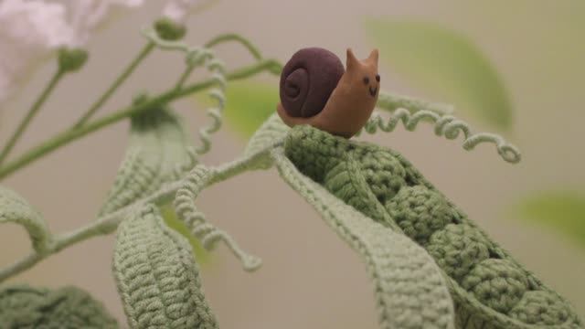 17693374219800 Пятеро из одного стручка