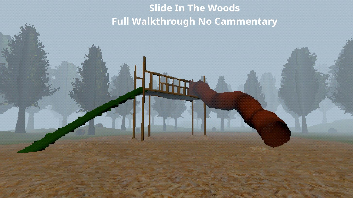 Slide In The Woods Full Walkthrough No Commentary 2K