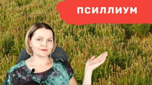 Что такое псиллиум? И зачем он нужен на кето?
