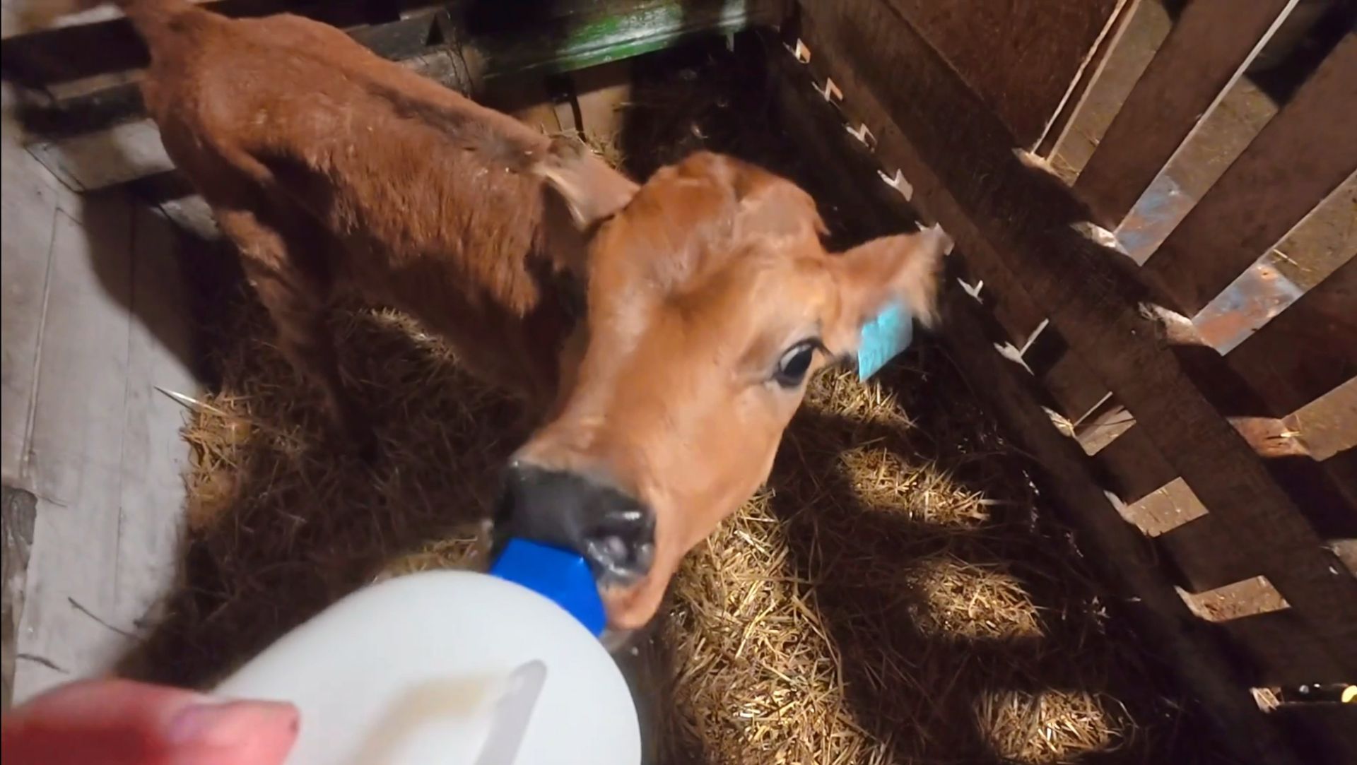 Маловато будет... смотреть онлайн