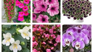 ЭКСПОНАТ! Что купила в СВЕТОФОРЕ! Высадила всех!