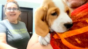 1079 Ну вот и меня засосала опасная трясина!🤣 А вдруг Получится?