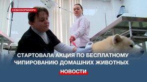 В Севастополе стартовала акция по бесплатному чипированию домашних животных