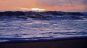 ИННА СУДАКОВА НА ПОСОШОК 🥃