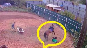 Местное родео