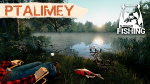 Утро, а мы на ловлю рыбы🐟Русская рыбалка 4🐬Russian Fishing 4