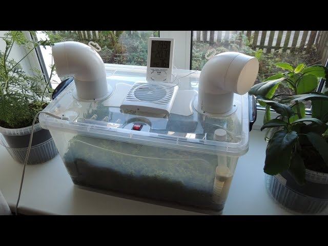 Простой биоувлажнитель-очиститель  воздуха  из живого  мха (Biofilter).