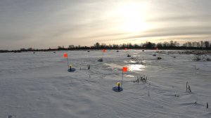 Расставил жерлицы в камышах.. И не пожалел! Такой рыбалки я не ожидал!