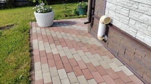 24.07.2024г.Обзор моих посадок на 24 июня. Видео из архива, кусочек лета зимой!