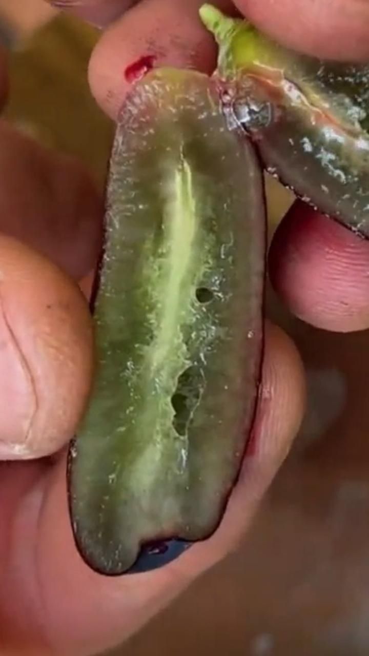 Виноград к-ш Аватар Ростов-на-Дону