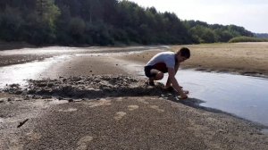 спасатель малибу