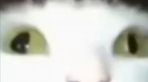 У МЕНЯ ЕСТЬ БЕЗУМНАЯ ИДЕЯ🔥🔥🔥🔥🔥🔥🔥🔥🔥