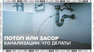 Что делать при потопе или засоре канализации? — Москва 24 | Контент