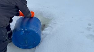 Запуск форели в акваторию !!!