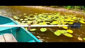 поездка за воблерами ЧАСТЬ 83