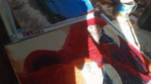 Рубрика "Мои картины алмазная мозаика"