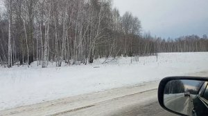 Едем домой/Касули/Озон/ 26/02/2026/